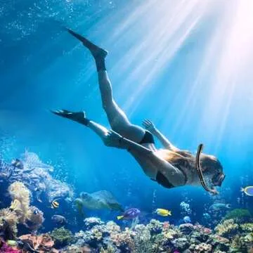 180° Snorkeling Gear Set for All Ages and Levels