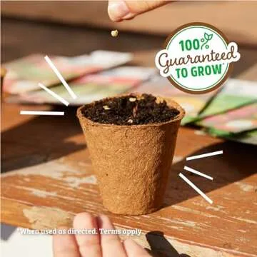 Organic Herb and Vegetable Seed Kit for All Levels