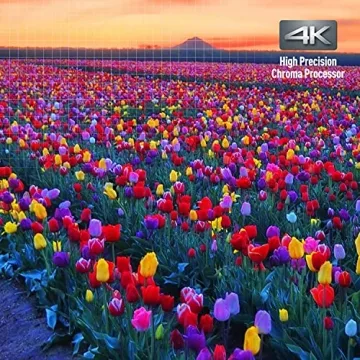 Panasonic 4K Blu Ray Player DP-UB820-K with Dolby Vision