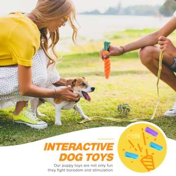 23 Pack Puppy Chew Toys for Small & Medium Dog, Cute Plush Dog Squeaky Toys for Puppies, Dog ChewToys with Rope Toys, Treat Ball for Teething, Interactive Dog Toys with Tough Chewers, Puppy Supplies