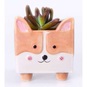 zennd. Animal Ceramic Succulent Planters | Set of 3 Cute Animal Plant Pots, Cactus Pots, Succulent Pots with Drainage, Small Flower Pots for Indoor Plants, Plant Decor