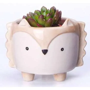 Cute Animal Ceramic Succulent Planters Set of 3