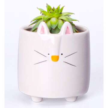 zennd. Animal Ceramic Succulent Planters | Set of 3 Cute Animal Plant Pots, Cactus Pots, Succulent Pots with Drainage, Small Flower Pots for Indoor Plants, Plant Decor