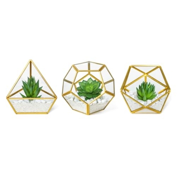 Mkono 3 Pack Mini Glass Geometric Terrariums for Home Decor