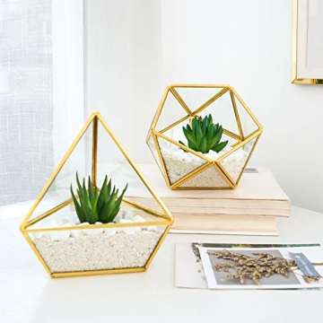 Mkono 3 Pack Mini Glass Geometric Terrariums for Home Decor