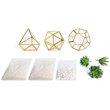 Mkono 3 Pack Mini Glass Geometric Terrariums for Home Decor