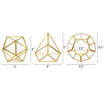 Mkono 3 Pack Mini Glass Geometric Terrariums for Home Decor