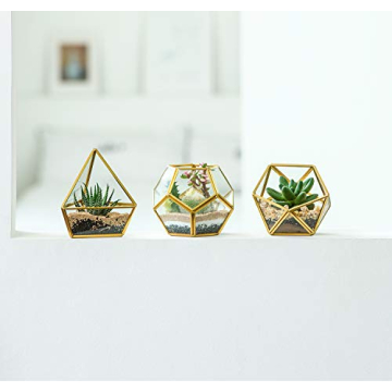 Mkono 3 Pack Mini Glass Geometric Terrariums for Home Decor
