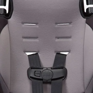 Cosco Finale DX 2-in-1 Booster Car Seat Lightweight Travel