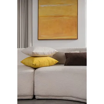 Luxurious DEZENE Velvet Pillow Covers for Home Decor