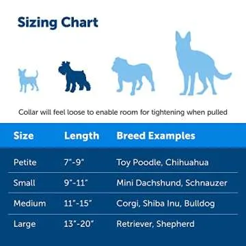 PetSafe Martingale Dog Collar with Quick-Snap Buckle - Small, 3/4 Inch, Red