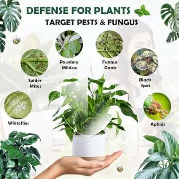 Neem Oil Spray for Plants | All-Natural Pest Control Solution