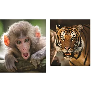 This Book is Literally Just Pictures of Animals Silently Judging You