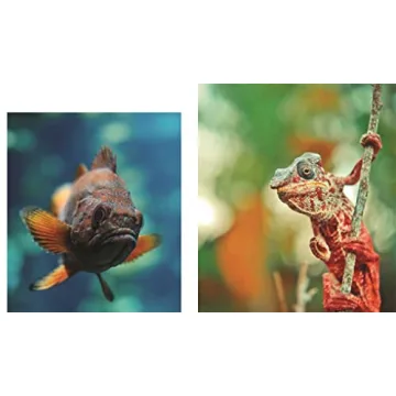 This Book is Literally Just Pictures of Animals Silently Judging You