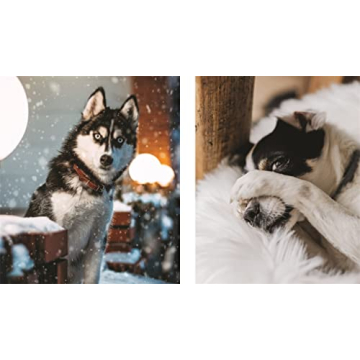 This Book is Literally Just Pictures of Animals Silently Judging You