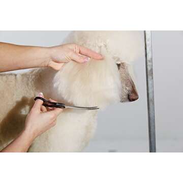 Andis Straight Shears, Right-Handed, Professional Dog and Cat Grooming