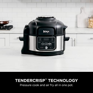 Ninja Foodi 9-in-1 Pressure Cooker and Air Fryer