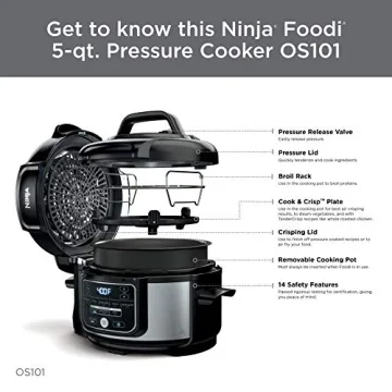 Ninja Foodi 9-in-1 Pressure Cooker and Air Fryer