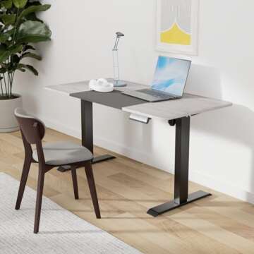 Dindiri 55 x 28 Height Adjustable Electric Standing Desk, Ergonomic Computer Desk with Memory, Sit S...