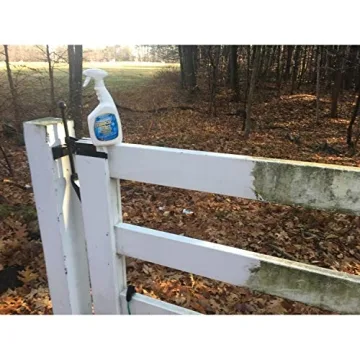 MiracleMist MMIC-4 Instant Mold and Mildew Stain Remover