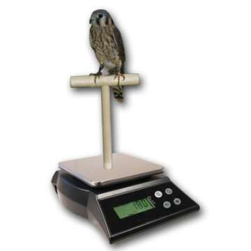 ZIEIS Digital Bird Scale | A42SS-NMTP | Wooden T Perch | Suction Cup | 1.0 Gram or 0.05 Ounce Accuracy | 2000 Gram or 70 Ounce Capacity | Stainless Steel Platform