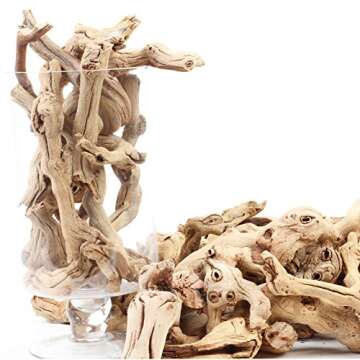 Koyal Wholesale Natural Grapewood Vase Filler Decor, 2.2-Pounds Bulk Vase Filler Branches for Terrariums, DIY Air Plant Kits, Table Scatter