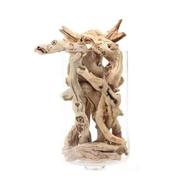 Natural Grapewood Vase Filler for Unique Decorating