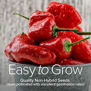 Pepper Seeds for Planting 8 Varieties Non-GMO Heirloom Pack