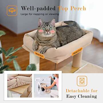 PAWZ Road 35-Inch Cat Tree with Double Condos and Perch