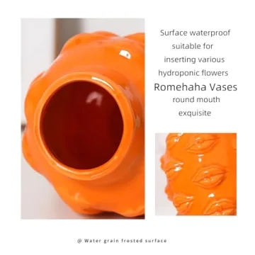 Unique Romehaha Ceramic Body Vase for Home Decor