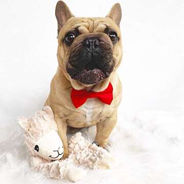 NANDOG Pet Gear My BFF Alpaca Crinkle Dog Toy – Plush Puppy Toy for Small and Medium Breed Non-Agg...