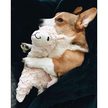 NANDOG Pet Gear My BFF Alpaca Crinkle Dog Toy – Plush Puppy Toy for Small and Medium Breed Non-Aggressive Chewers – Soft 15 Inch Dog Toy Provides Fun and Companionship (White)