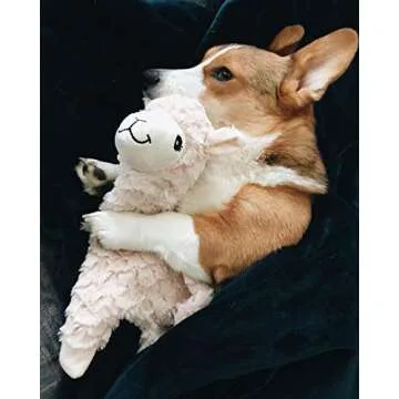 NANDOG Pet Gear My BFF Alpaca Crinkle Dog Toy – Plush Puppy Toy for Small and Medium Breed Non-Aggressive Chewers – Soft 15 Inch Dog Toy Provides Fun and Companionship (White)