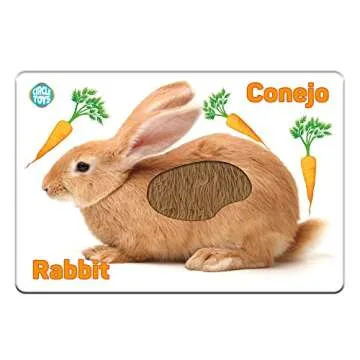 My Touch and Feel English Spanish Bilingual Picture Double Sided Sensory Flash Cards for Infant, Toddlers, Kids, Learn Animals, Fruits, Objects and Vehicles, Fun Learning and Educational Flashcards