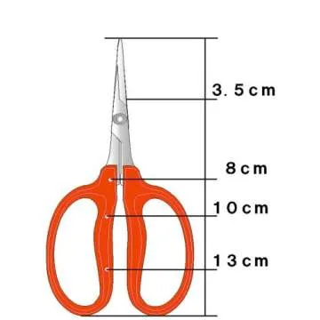 Chikamasa Stainless Steel Grape Scissors B-500S