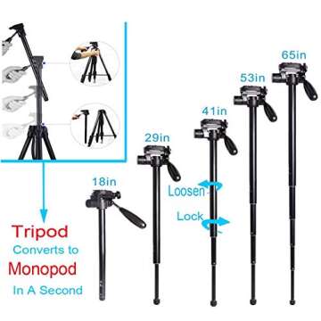 Regetek 73" Camera Tripod Travel Monopod (Aluminum Professional Video Camera Mount) Adjustable Stand with Flexible Head for Canon Nikon DV DSLR Camcorder Webcam cam& Carry Bag & Cellphone Mount