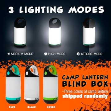 Pumpkin Lantern & Carving Kit for Halloween Fun