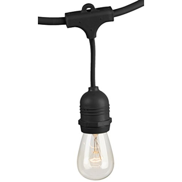 Outdoor Patio String Lights by Amazon Basics - 48 Feet