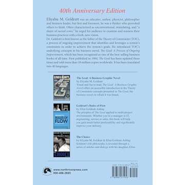 The Goal: 40th Anniversary Edition: A Process of Ongoing Improvement