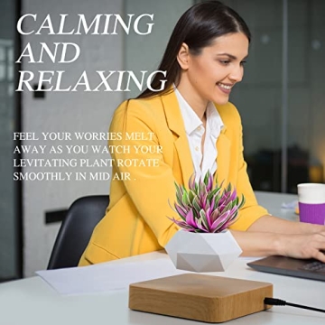 Levitating Air Bonsai Pot - 360° Rotating Floating Plant Decor