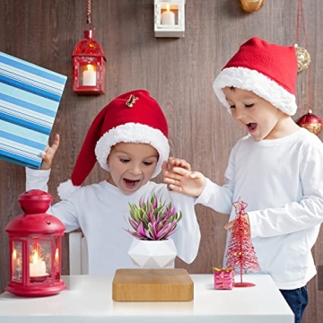 Levitating Air Bonsai Pot - 360° Rotating Floating Plant Decor