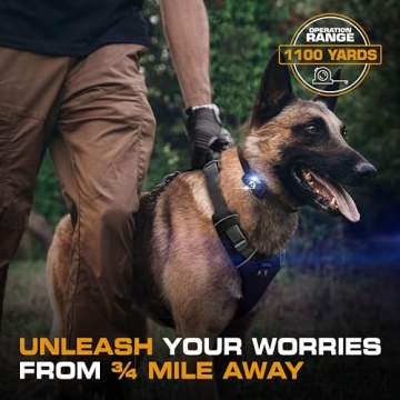 INVIROX K9 X2 Dog Shock Collar - Safe & Powerful