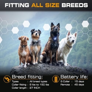 INVIROX K9 X2 Dog Shock Collar - Safe & Powerful