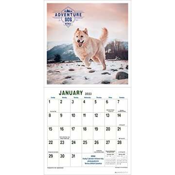 Adventure Dogs 2023 Wall Calendar: Hiking, Camping, and Traveling with Courageous Canines | 12" x 24" Open | Amber Lotus Publishing