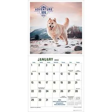 Adventure Dogs 2023 Wall Calendar: Hiking, Camping, and Traveling with Courageous Canines | 12" x 24" Open | Amber Lotus Publishing