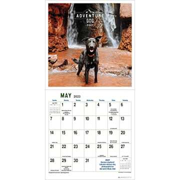 Adventure Dogs 2023 Wall Calendar: Hiking, Camping, and Traveling with Courageous Canines | 12" x 24" Open | Amber Lotus Publishing