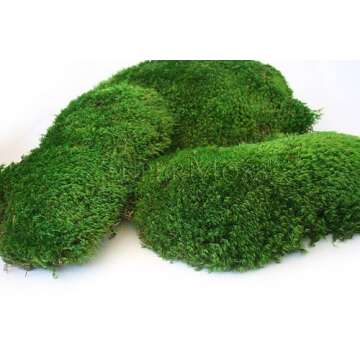 SuperMoss (21539) Mood Moss Preserved – 8oz Fresh Green Bag