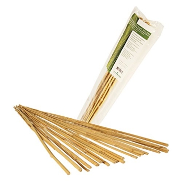 3' Natural Bamboo Stakes Pack of 25 Perfect for Gardens