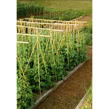 3' Natural Bamboo Stakes Pack of 25 Perfect for Gardens