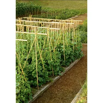 3' Natural Bamboo Stakes Pack of 25 Perfect for Gardens